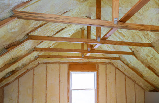 Best Crawl Space Insulation  in Snoqualmie, WA