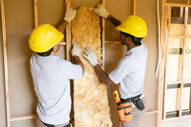 Best Insulation for New Construction  in Snoqualmie, WA