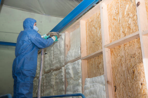 Best Insulation Removal  in Snoqualmie, WA